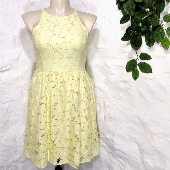 LC Lauren Conrad Dresses & Skirts - LC Lauren Conrad floral lace fit and flare dress
